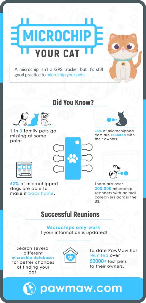 microchip vs cat tracking